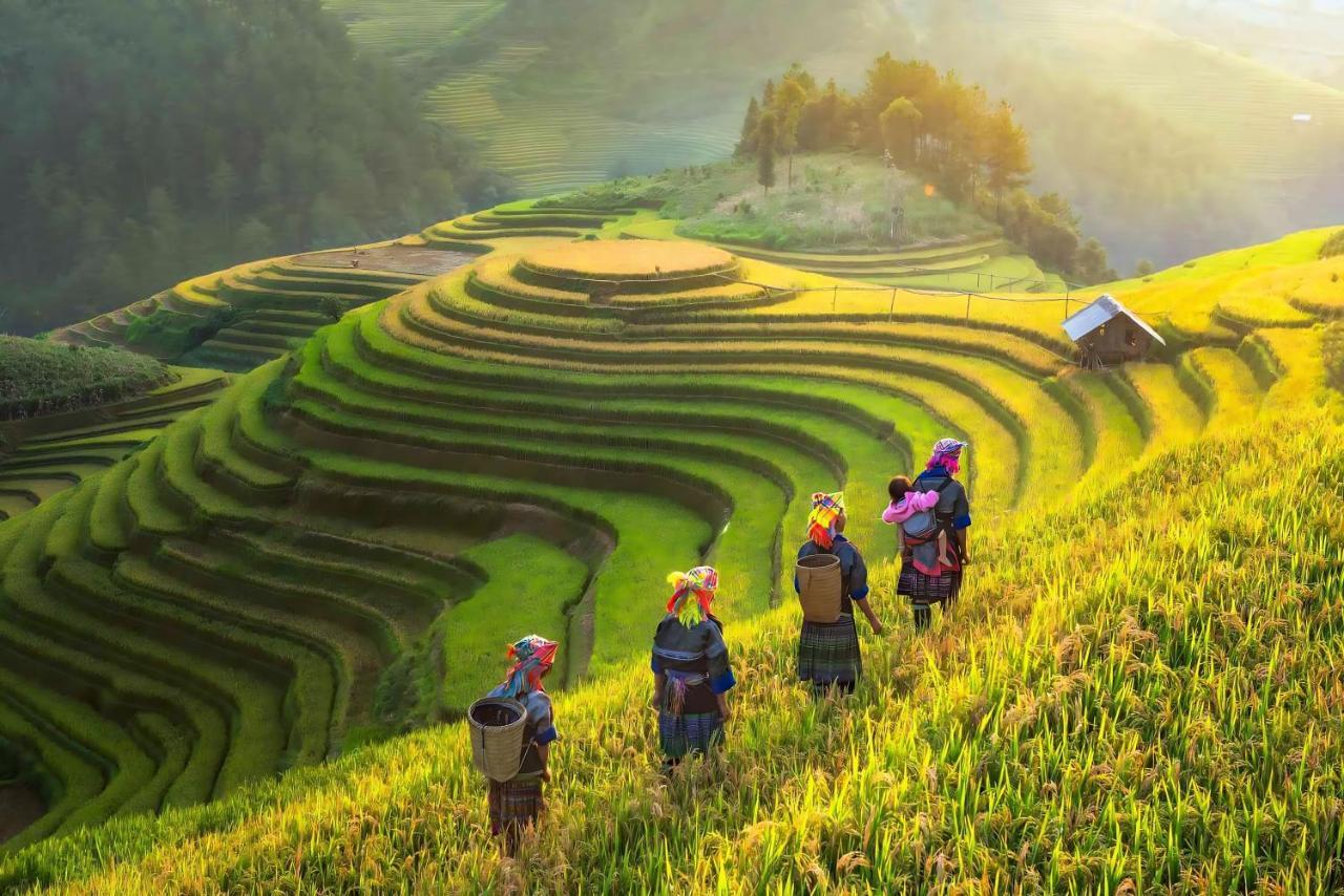 Central Sapa Charm Hotel Eksteriør bilde